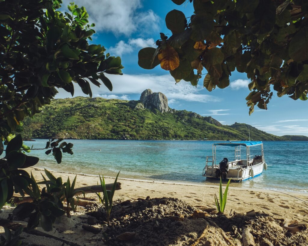 island buzz news